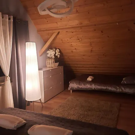 Dom Salamandra Z Panorama Gor アパート ライツァ