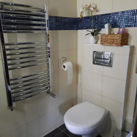 Apartmán Dom Salamandra Z Panorama Gor *