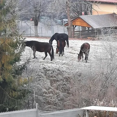 Dom Salamandra Z Panorama Gor *