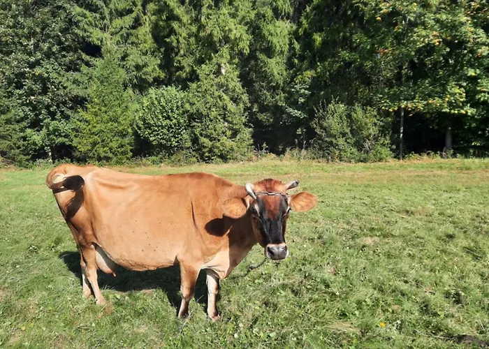 Dom Salamandra Z Panorama Gor Apartmán