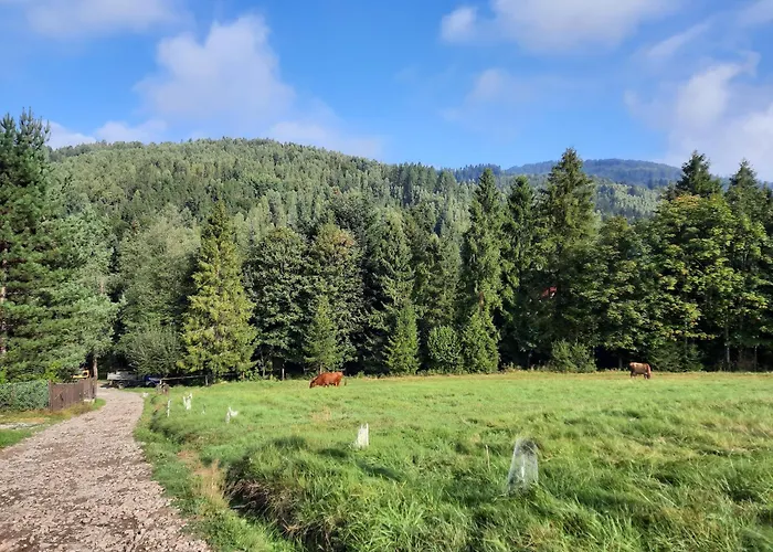 Apartmán Dom Salamandra Z Panorama Gor