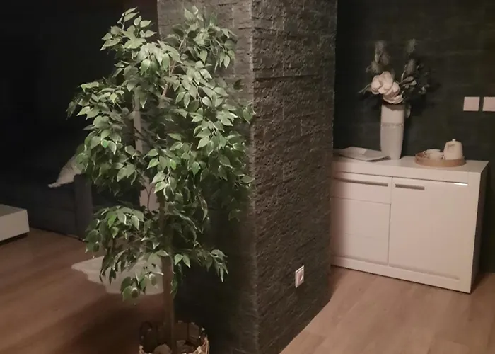 Apartmán Dom Salamandra Z Panorama Gor