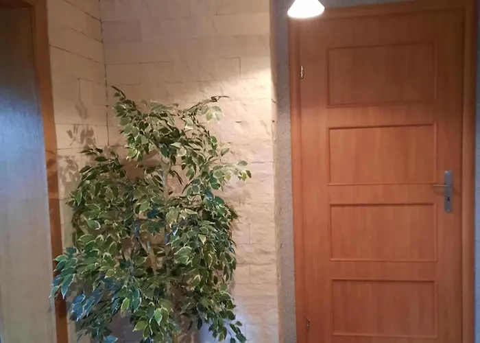 Dom Salamandra Z Panorama Gor Apartmán *