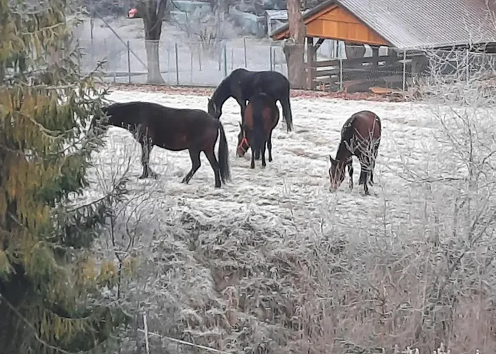 Dom Salamandra Z Panorama Gor *